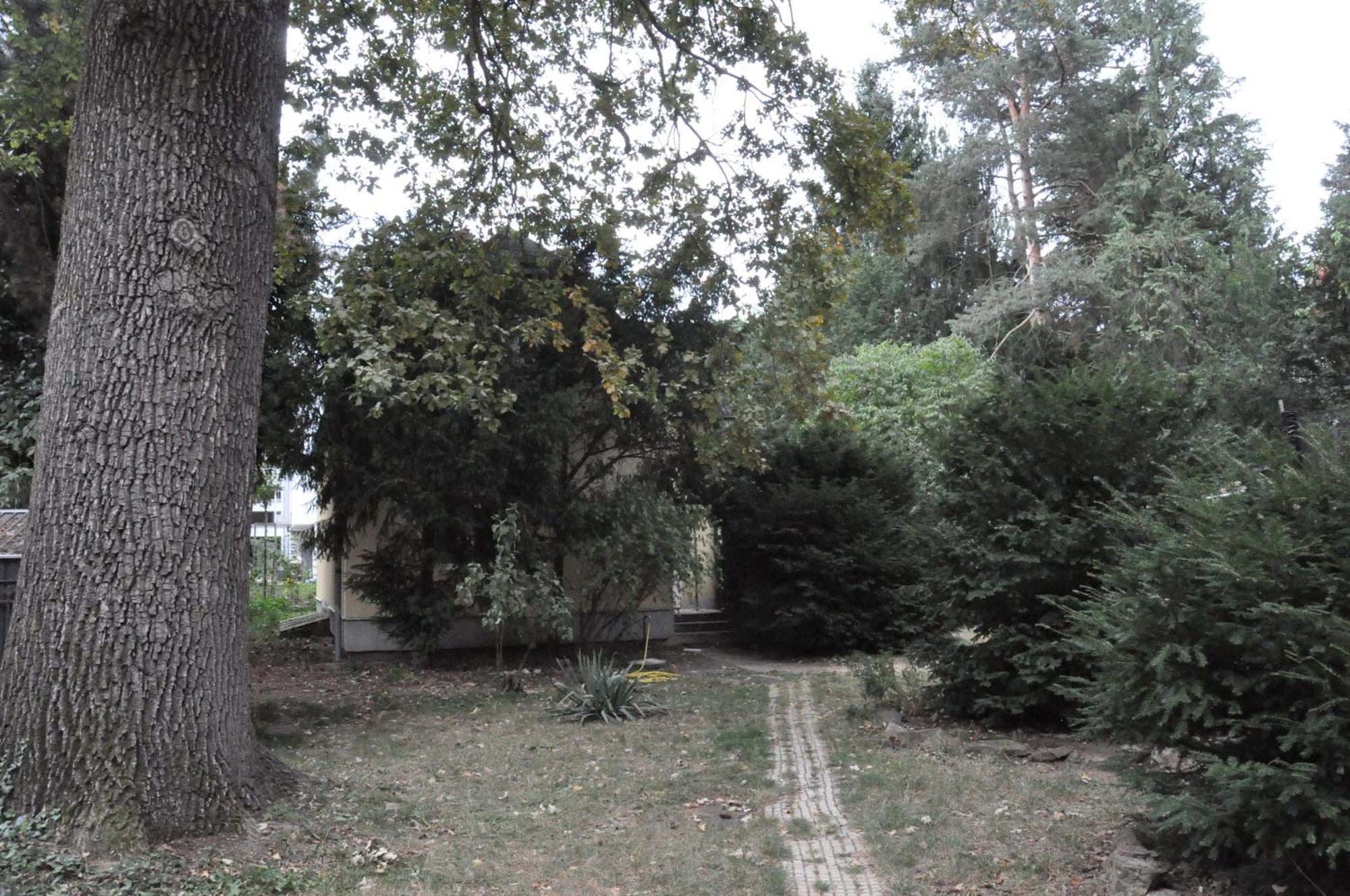Vakantiehuis House Near To Schoenbrunn - Free Parking - 24-7 Check In - 8 Person Wenen